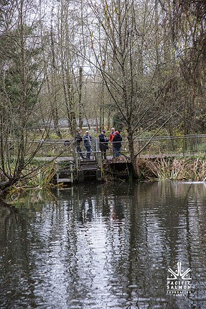 PSF - TYNEHEAD HATCHERY - MP Ken Hardie-98