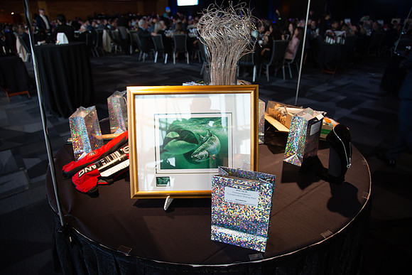 4-SETUP-PSF GALA 2022-428-2