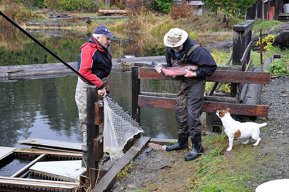 2012 Alberni Valley Salmon Enhancement Society-6