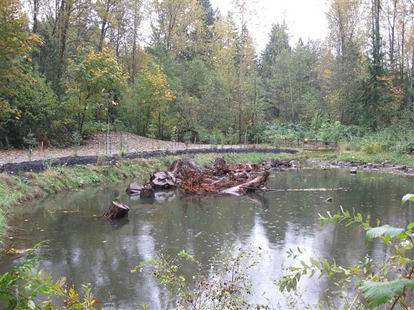 2012 Coquitlam Watershed Site Visit for Rudy North-4