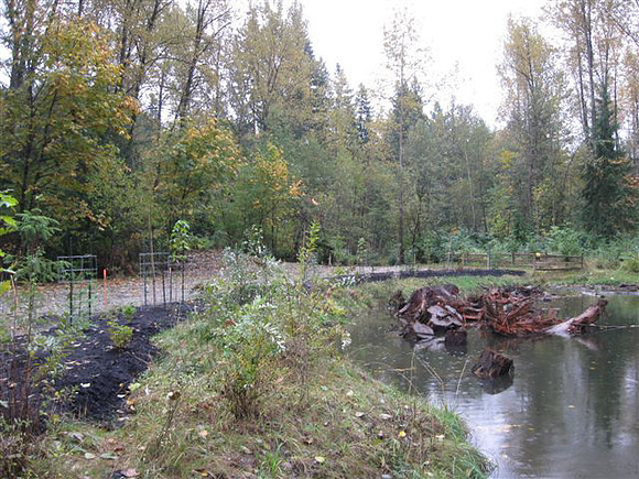 2012 Coquitlam Watershed Site Visit for Rudy North-5