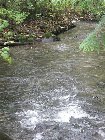 2012 Coquitlam Watershed Site Visit for Rudy North