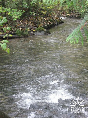 2012 Coquitlam Watershed Site Visit for Rudy North - LOGO