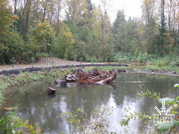 2012 Coquitlam Watershed Site Visit for Rudy North-4 - LOGO