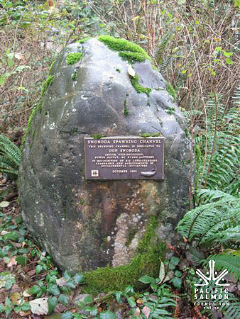 2012 Coquitlam Watershed Site Visit for Rudy North-6 - LOGO