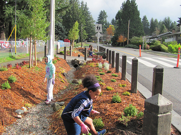 2012 Cougar Creek Streamkeepers - Sunshine Hills Rain Garden-2