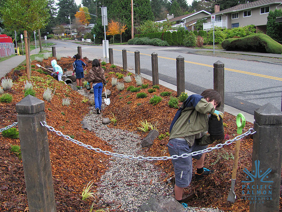 2012 Cougar Creek Streamkeepers - Sunshine Hills Rain Garden-3 - LOGO