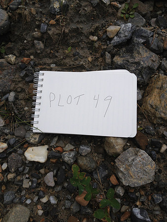 2012 Kicking Horse Habitat Monitoring-15
