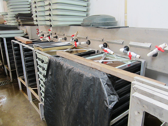 2013 Alberni Valley Salmon Enhancement Society Port Alberni McLean Mill - Nov 3-12