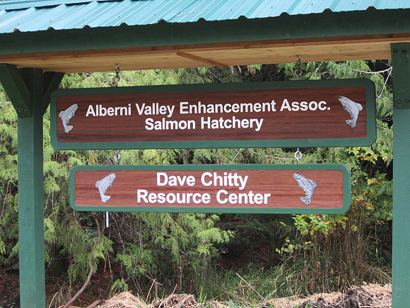 2013 Alberni Valley Salmon Enhancement Society Port Alberni McLean Mill - Nov 3-9