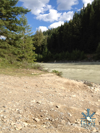 2012 Kicking Horse Habitat Monitoring - LOGO