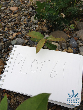 2012 Kicking Horse Habitat Monitoring-11 - LOGO