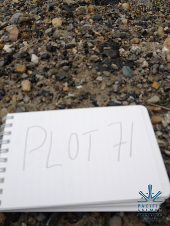2012 Kicking Horse Habitat Monitoring-13 - LOGO