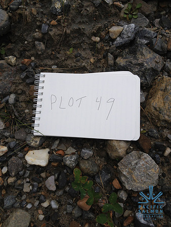 2012 Kicking Horse Habitat Monitoring-15 - LOGO