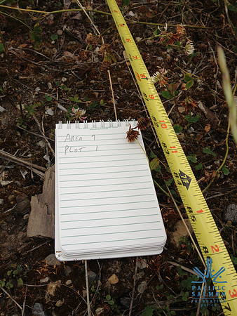 2012 Kicking Horse Habitat Monitoring-17 - LOGO
