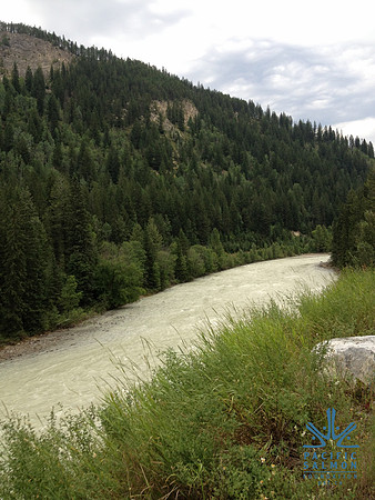 2012 Kicking Horse Habitat Monitoring-18 - LOGO