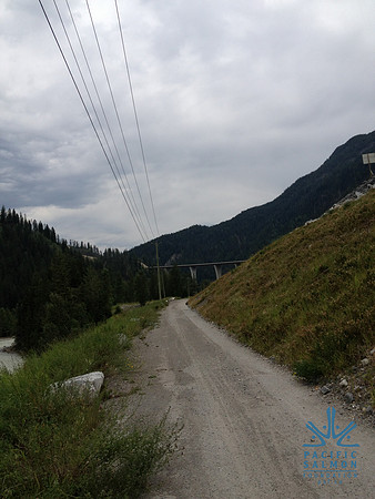 2012 Kicking Horse Habitat Monitoring-19 - LOGO