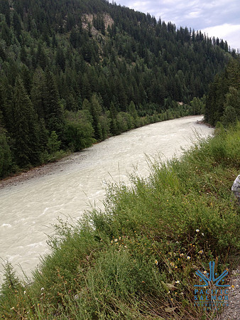 2012 Kicking Horse Habitat Monitoring-20 - LOGO