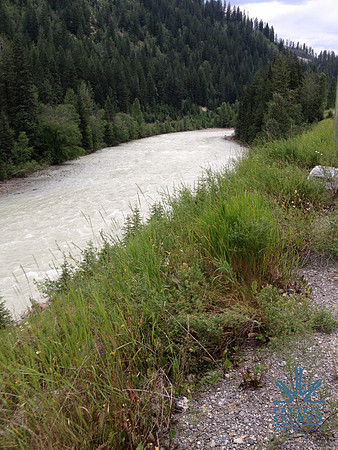 2012 Kicking Horse Habitat Monitoring-21 - LOGO