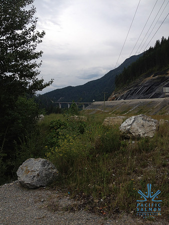 2012 Kicking Horse Habitat Monitoring-22 - LOGO