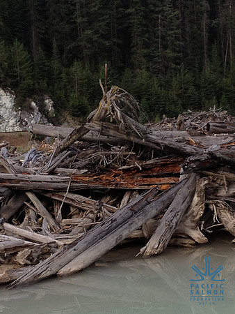 2012 Kicking Horse Habitat Monitoring-32 - LOGO