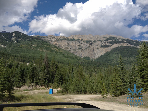 2012 Kicking Horse Habitat Monitoring-4 - LOGO
