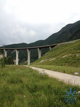 2012 Kicking Horse Habitat Monitoring-5 - LOGO