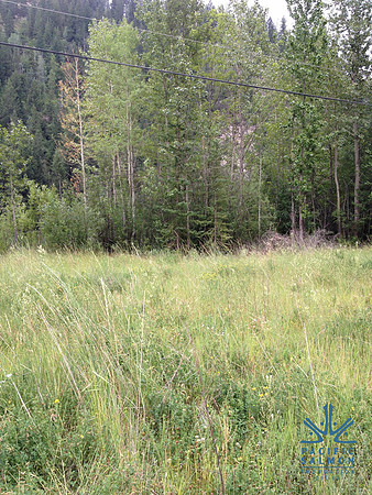 2012 Kicking Horse Habitat Monitoring-6 - LOGO