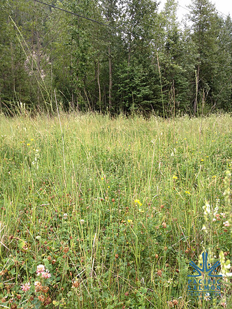 2012 Kicking Horse Habitat Monitoring-7 - LOGO