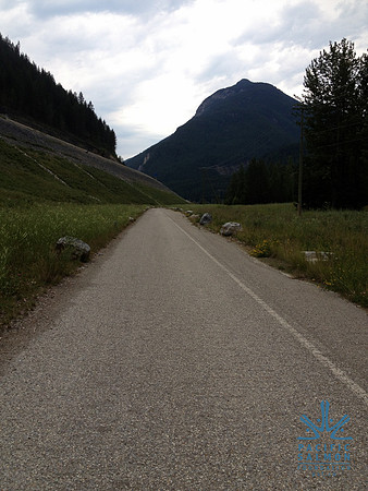 2012 Kicking Horse Habitat Monitoring-8 - LOGO