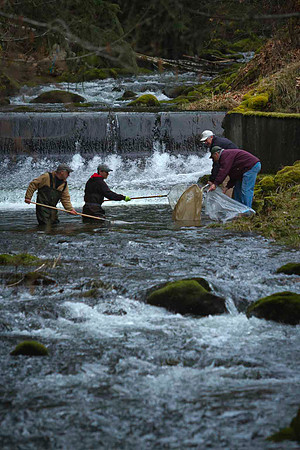 2012 Photoshoot_Goldstream River-32
