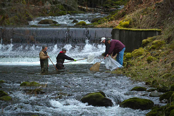 2012 Photoshoot_Goldstream River-33