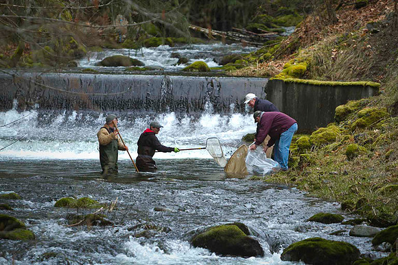 2012 Photoshoot_Goldstream River-34