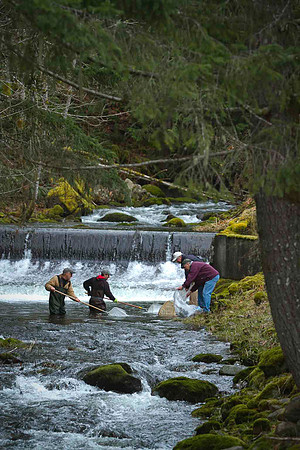 2012 Photoshoot_Goldstream River-35