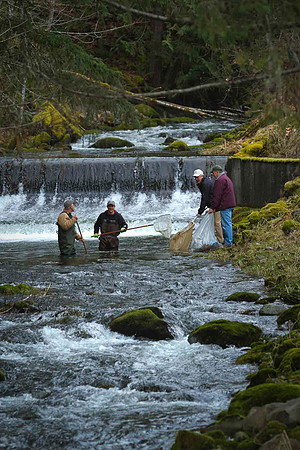 2012 Photoshoot_Goldstream River-36