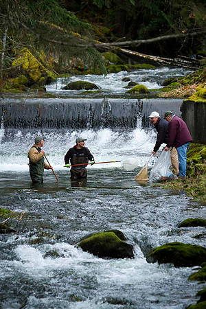 2012 Photoshoot_Goldstream River-37