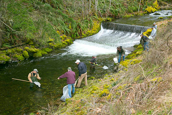 2012 Photoshoot_Goldstream River-42