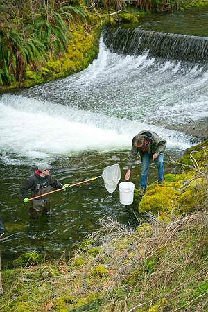 2012 Photoshoot_Goldstream River-43