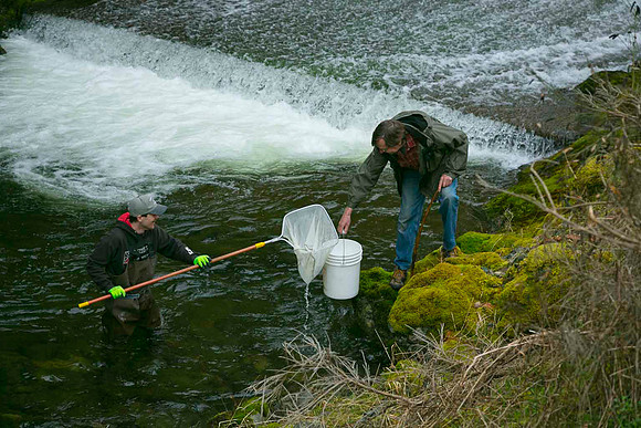 2012 Photoshoot_Goldstream River-44