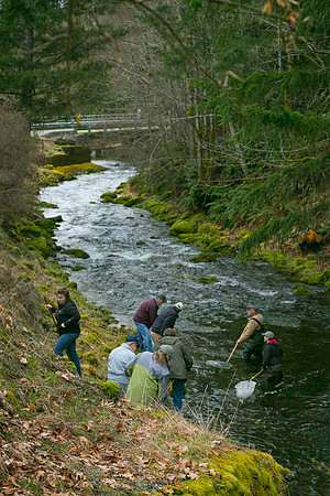 2012 Photoshoot_Goldstream River-46