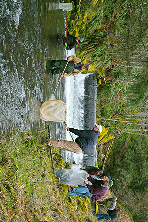 2012 Photoshoot_Goldstream River-56