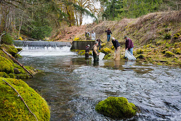 2012 Photoshoot_Goldstream River-65