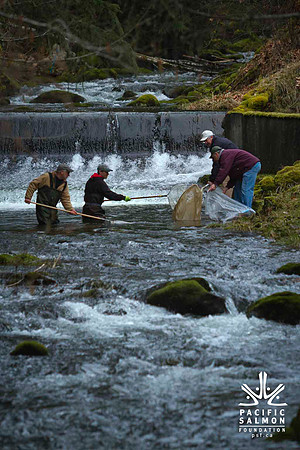 2012 Photoshoot_Goldstream River-32 - LOGO