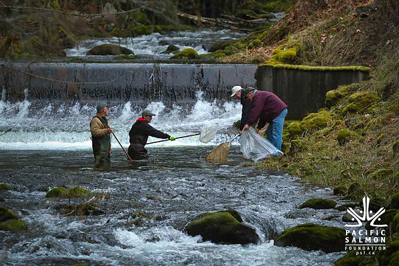 2012 Photoshoot_Goldstream River-33 - LOGO