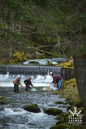 2012 Photoshoot_Goldstream River-35 - LOGO