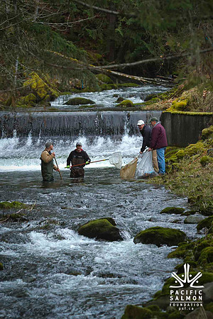 2012 Photoshoot_Goldstream River-36 - LOGO
