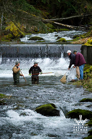2012 Photoshoot_Goldstream River-37 - LOGO