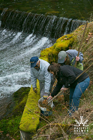 2012 Photoshoot_Goldstream River-39 - LOGO