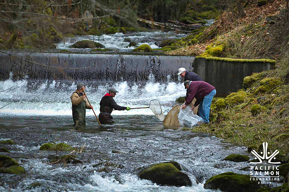 2012 Photoshoot_Goldstream River-4 - LOGO