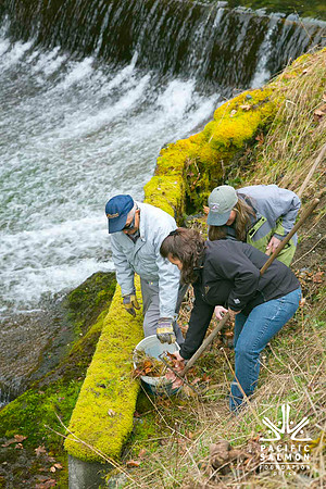 2012 Photoshoot_Goldstream River-40 - LOGO